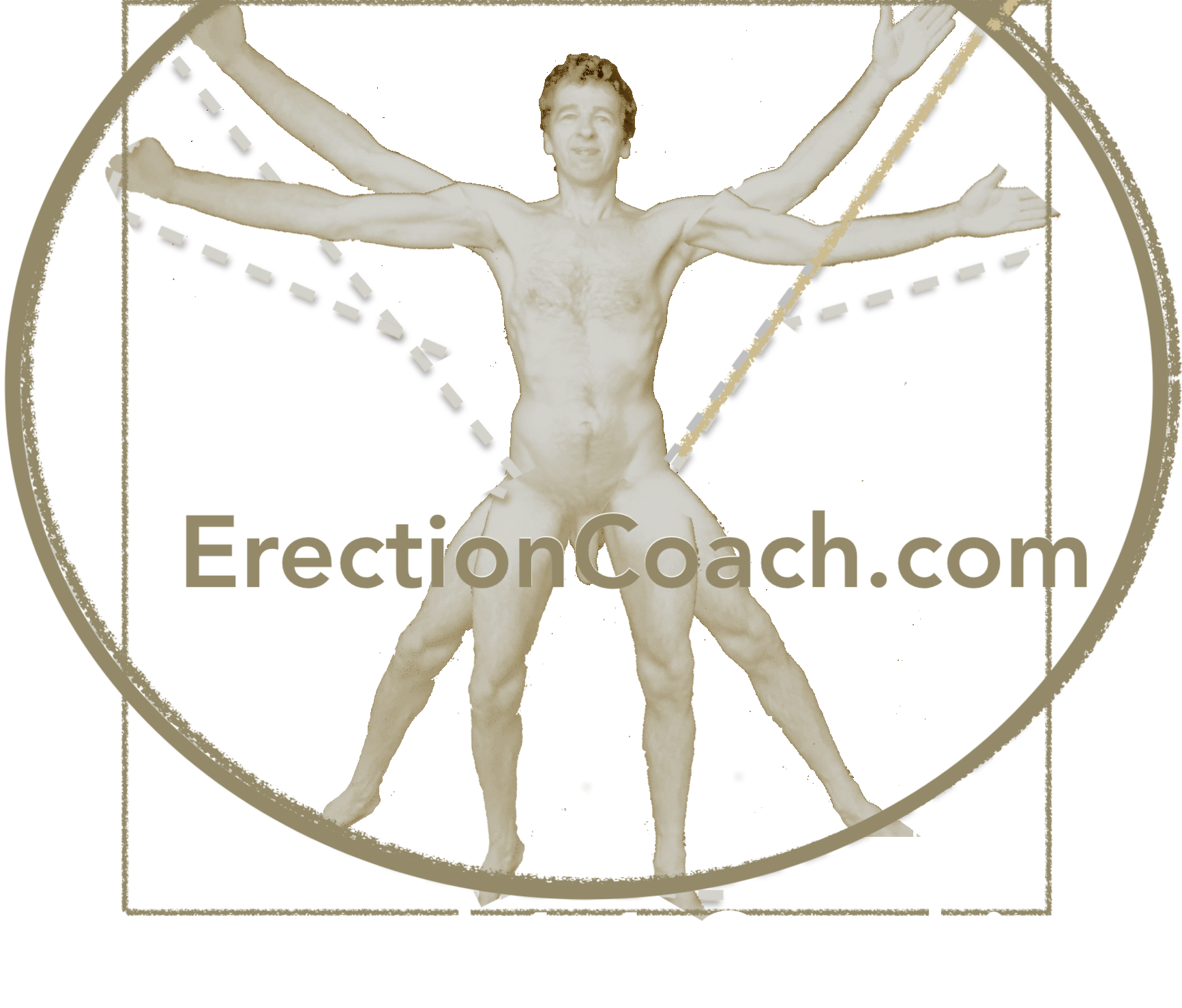 erection coach in style of vitruvian man