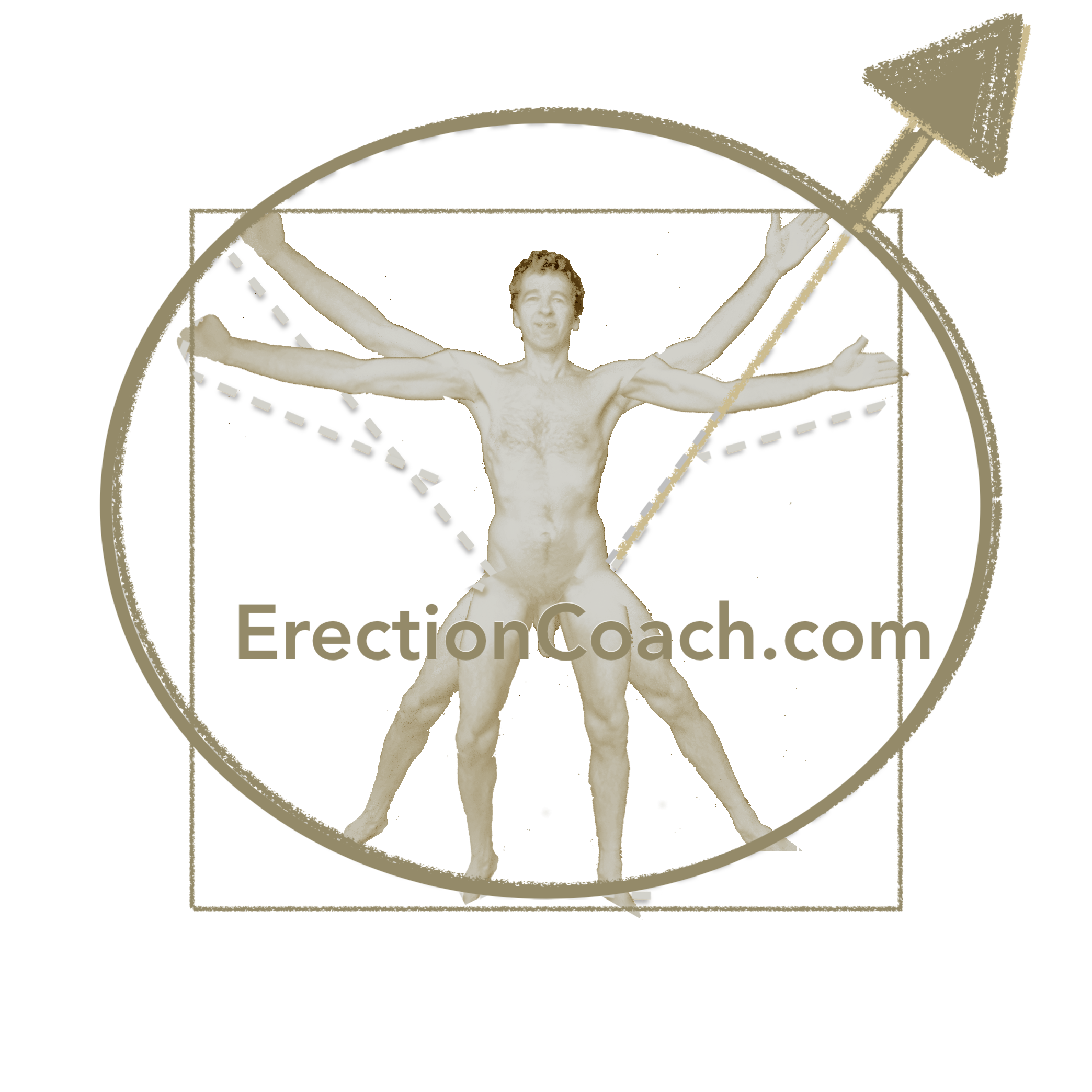 erection coach in style of vitruvian man